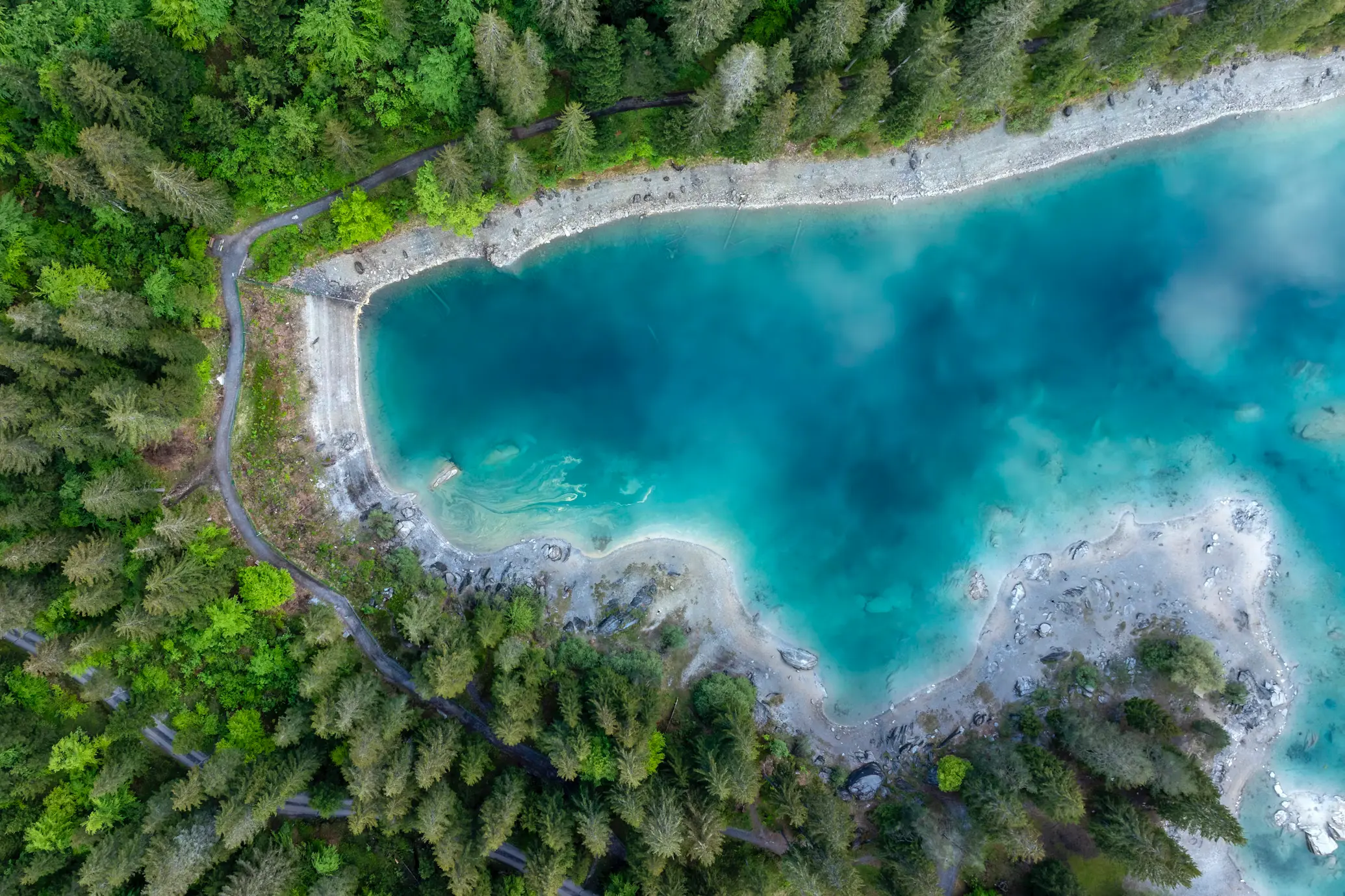 Aerial view of a glacial turquoise alpine lake surrounded by pine forest and rocky shoreline, Bernese Oberland Switzerland