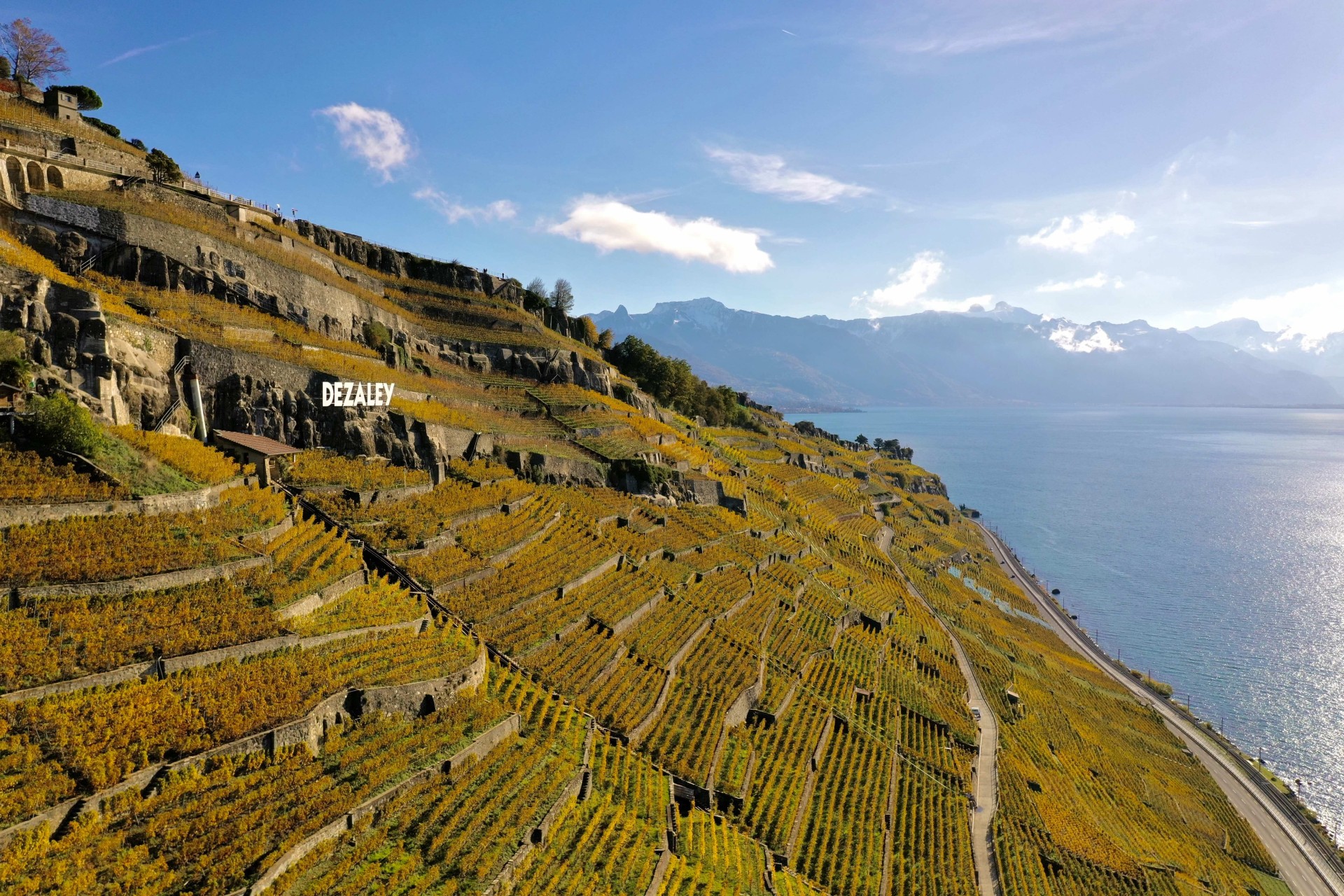 Dézaley Grand Cru vineyard terraces dropping steeply to Lake Geneva in autumn, Lavaux UNESCO wine region Vaud Switzerland