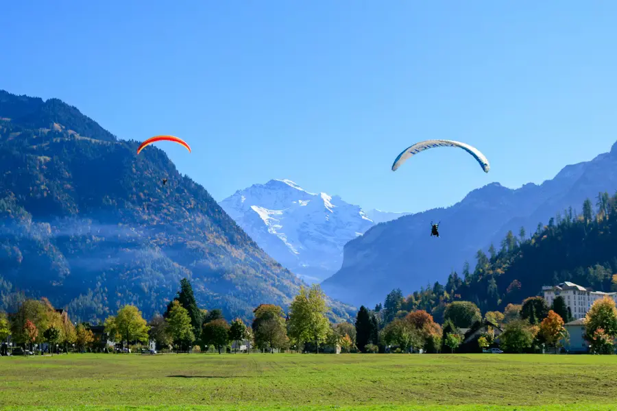 Two tandem paragliders descending over Höhematte meadow in autumn with Jungfrau massif behind, Interlaken Switzerland