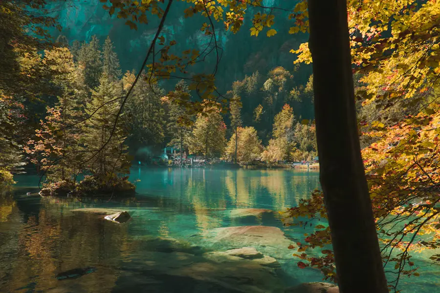 Blausee crystal clear turquoise lake with rocks and fish visible underwater surrounded by forest near Kandersteg Switzerland